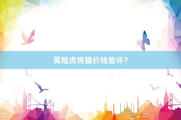 英短虎斑猫价钱些许？